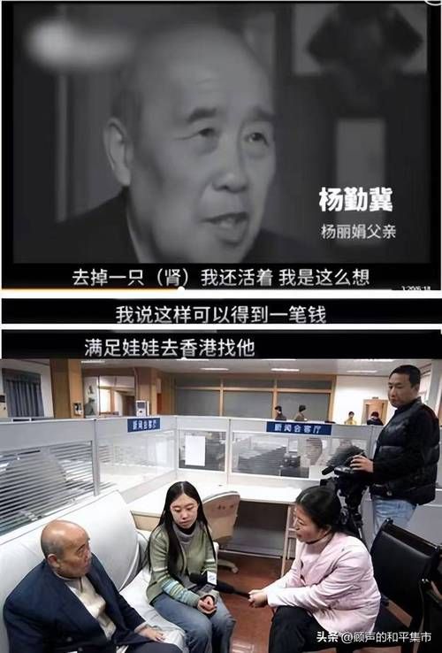 从杨丽娟事件看刘德华的明星粉丝现象