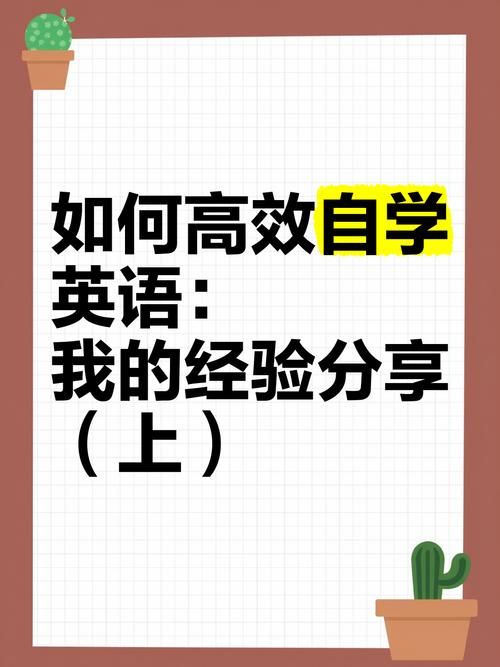 他们在那英语学习效果如何真实学员分享经验