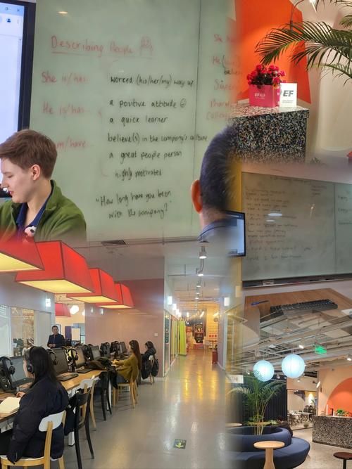 他们在那英语学习效果如何真实学员分享经验
