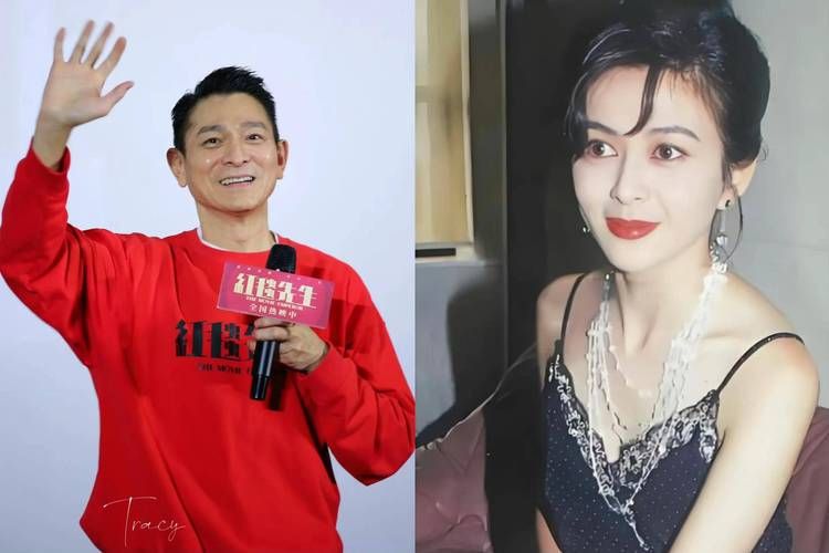 他的女人刘德华为何这些女人让他念念不忘