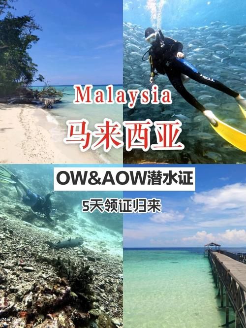 仙本那英语教学体验 跟当地老师学最地道口语