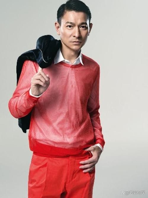 传奇人生：刘德华博士的学术之路与社会贡献