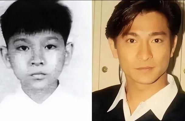 你不知道的刘德华：揭秘他弟弟及背后的家族故事