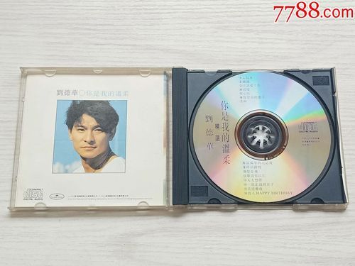 你是我的温柔mp3刘德华 深情演唱完整版