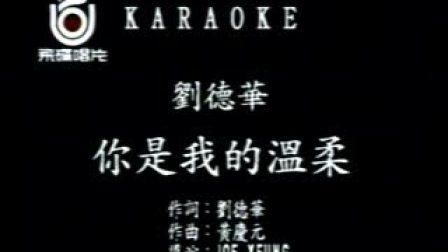 你是我的温柔mp3刘德华 深情演唱完整版