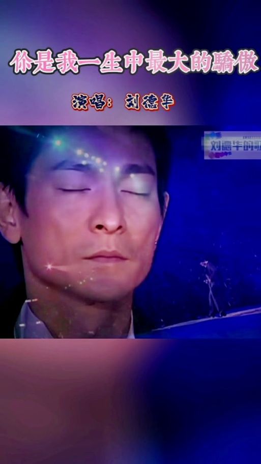 你是我的骄傲刘德华演唱会现场版视频回顾