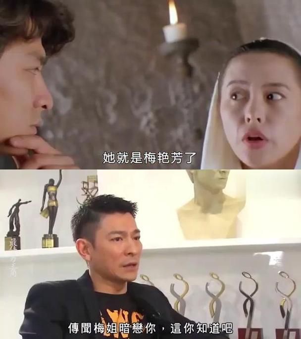 你知道刘德华梅艳芳合作过哪些电影吗？深度解析