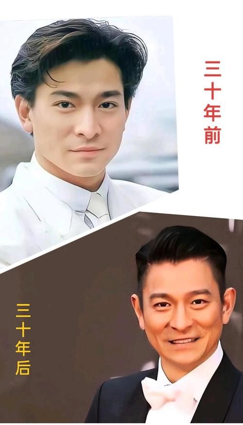 关于刘德华：天王巨星的传奇人生与辉煌成就