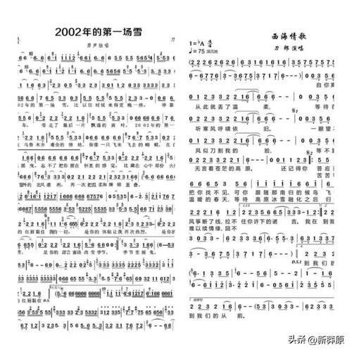 刀郎为刘德华写的歌盘点那些年感动我们的旋律