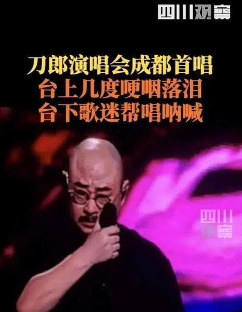 刀郎为刘德华写的歌盘点那些年感动我们的旋律