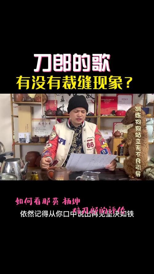 刀郎视频被那英评论网友炸锅