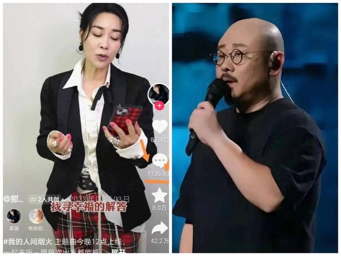 刀郎那英事件背后原因两人音乐理念大不同