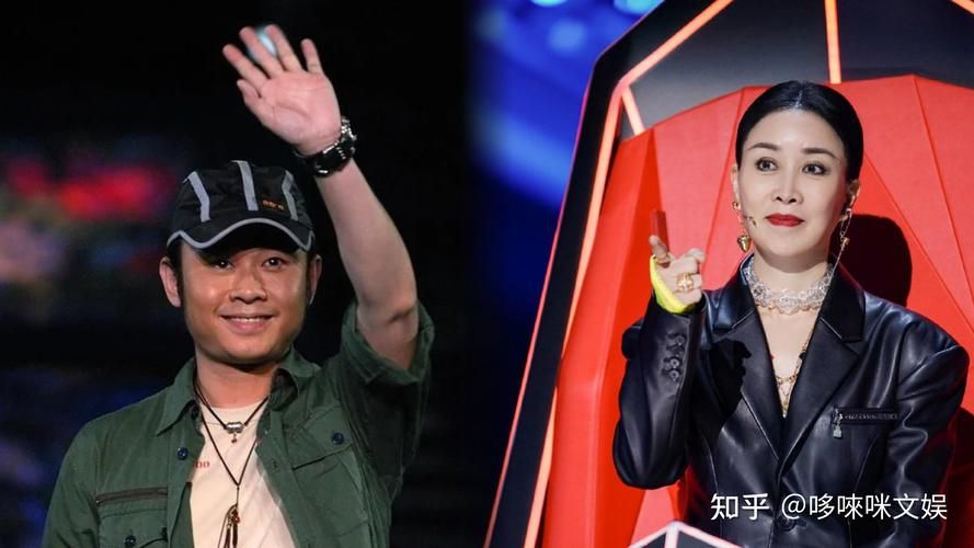 刀郎那英事件背后原因两人音乐理念大不同