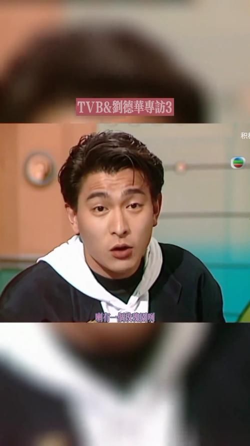 刘德华1991年演唱会幕后故事揭秘你不知道的细节