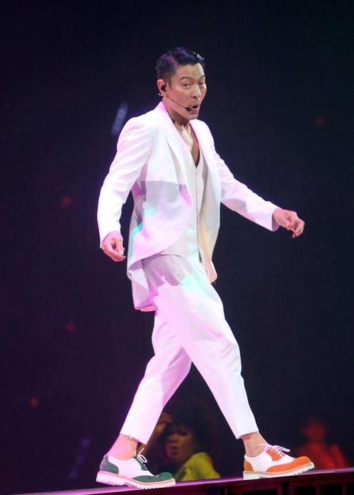 刘德华2007香港演唱会：你可能错过的精彩瞬间