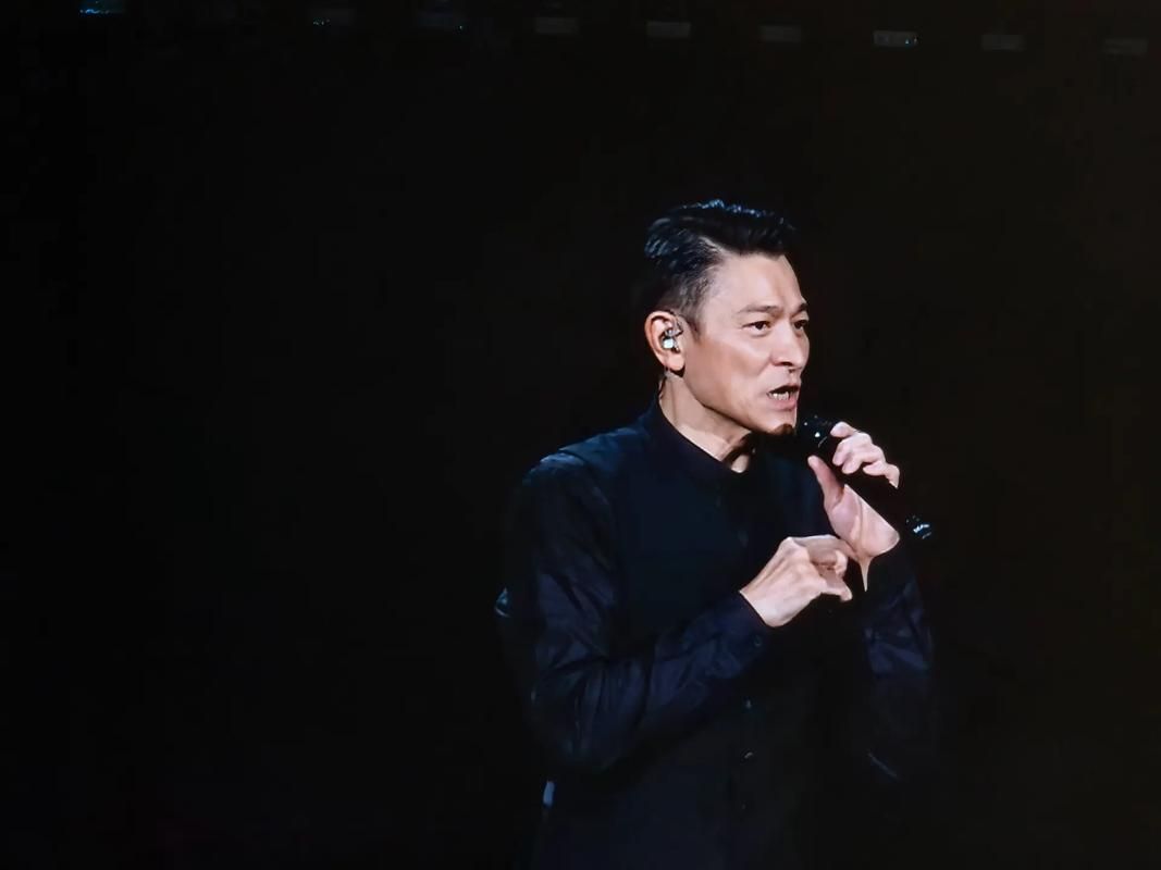 刘德华2010年演唱会现场照片 看看天王当年的风采