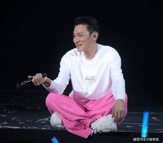 刘德华2010年演唱会现场照片 看看天王当年的风采