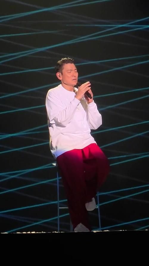 刘德华2011上海演唱会粉丝互动与幕后花絮