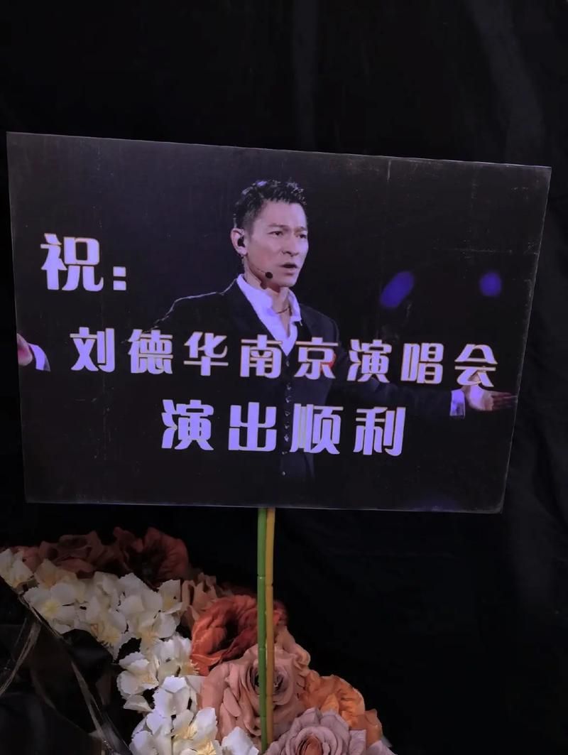 刘德华2013南京演唱会歌单与现场照片分享