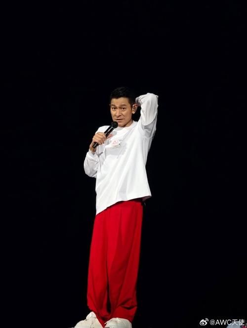 刘德华2013南京演唱会歌单与现场照片分享