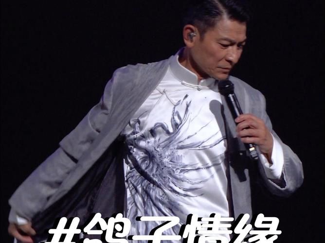 刘德华2024上海演唱会：重温经典感动瞬间