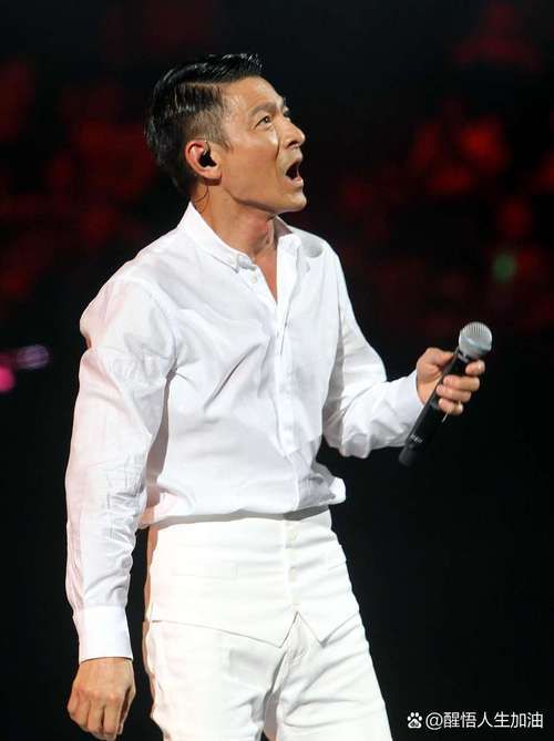 刘德华2024巡回演唱会全程回顾：精彩瞬间与幕后故事