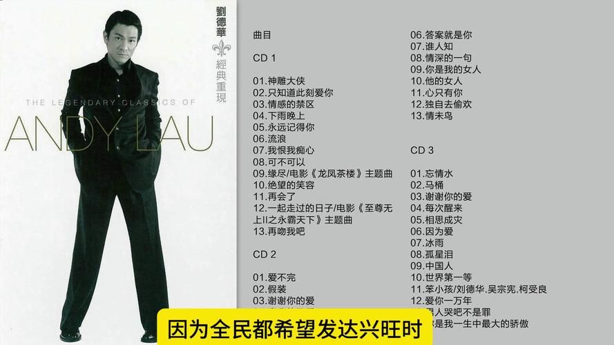 刘德华94演唱会曲目清单那些年我们追过的金曲