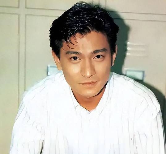 刘德华gay传闻再起风波 粉丝们怎么看这件事