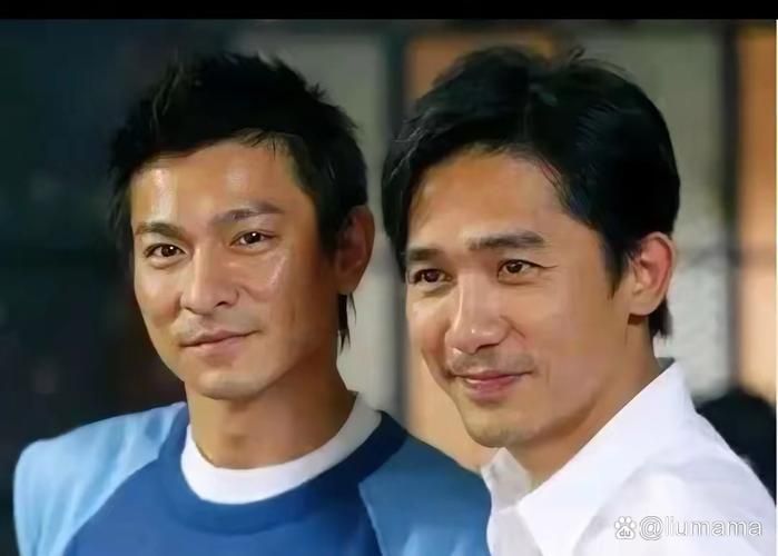 刘德华gay传闻再起风波 粉丝们怎么看这件事