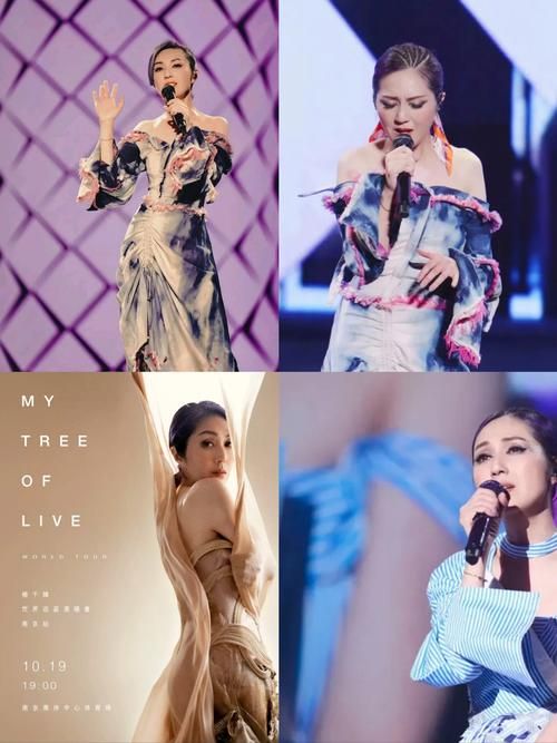 刘德华、杨千嬅同台？演唱会现场精彩瞬间回顾