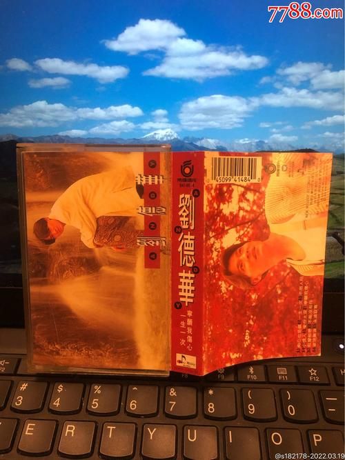 刘德华一生一次歌词含义解析与情感解读
