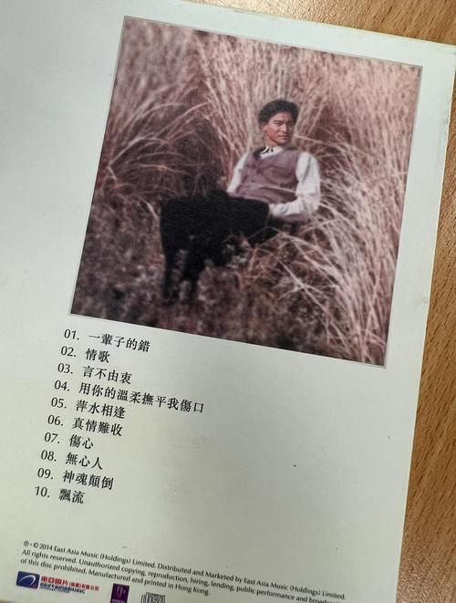 刘德华一辈子的错背后的故事：你不知道的那些事