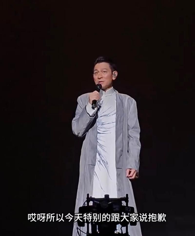 刘德华上海演唱会2013现场高清照片集锦