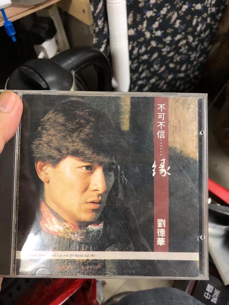 刘德华不能没有你歌词含义深度解读与赏析
