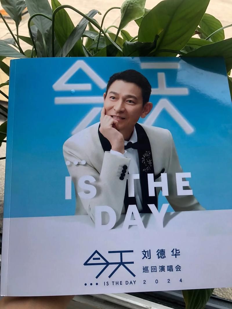 刘德华不能没有你歌词赏析 唱出深情男人的心声