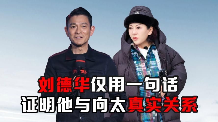 刘德华与向太的恩怨情仇这些年到底发生了什么