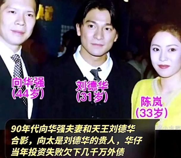刘德华与向太的恩怨情仇这些年到底发生了什么