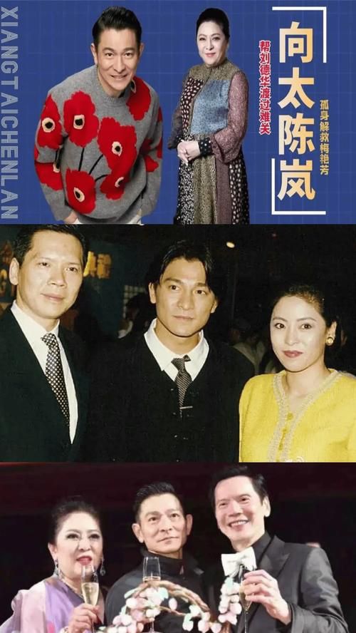 刘德华与向太的恩怨情仇这些年到底发生了什么