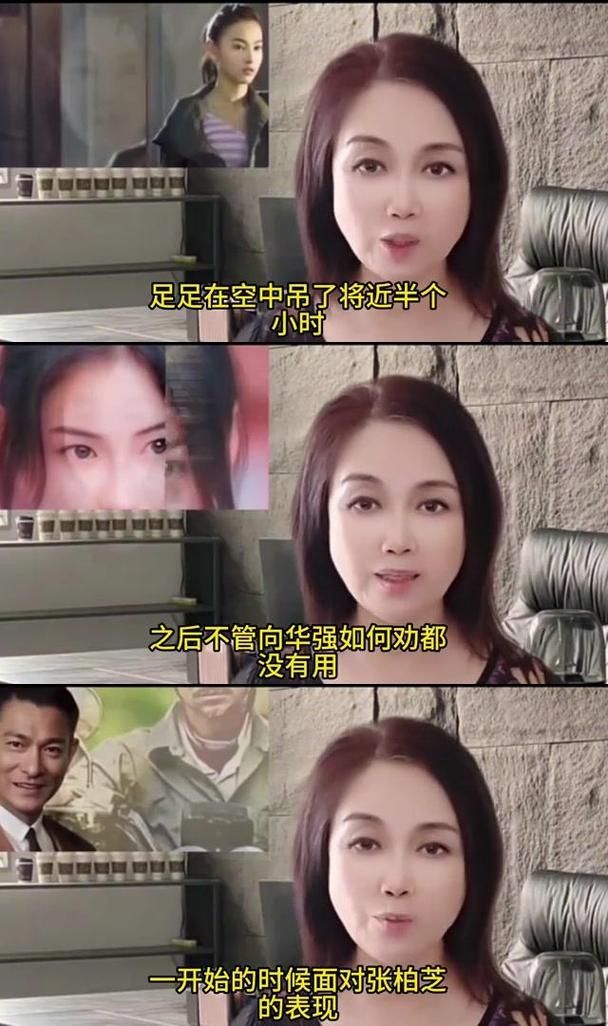 刘德华与张柏芝最新动态与近况分享