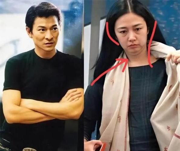 刘德华与朱丽倩离婚传闻是真的吗？最新进展解读