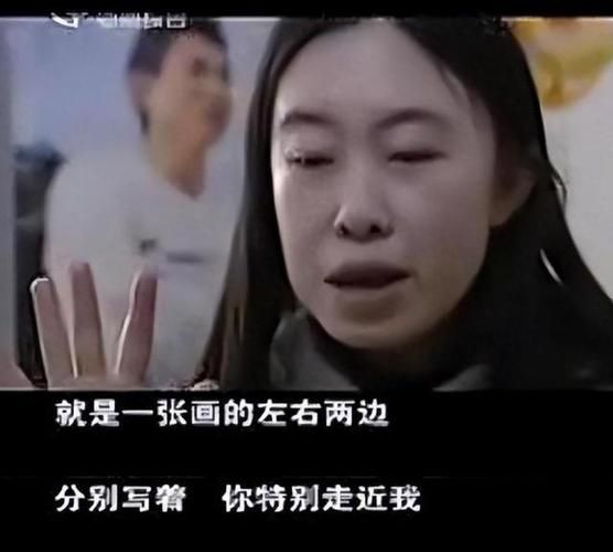 刘德华与杨丽娟：一个疯狂粉丝的沉痛教训