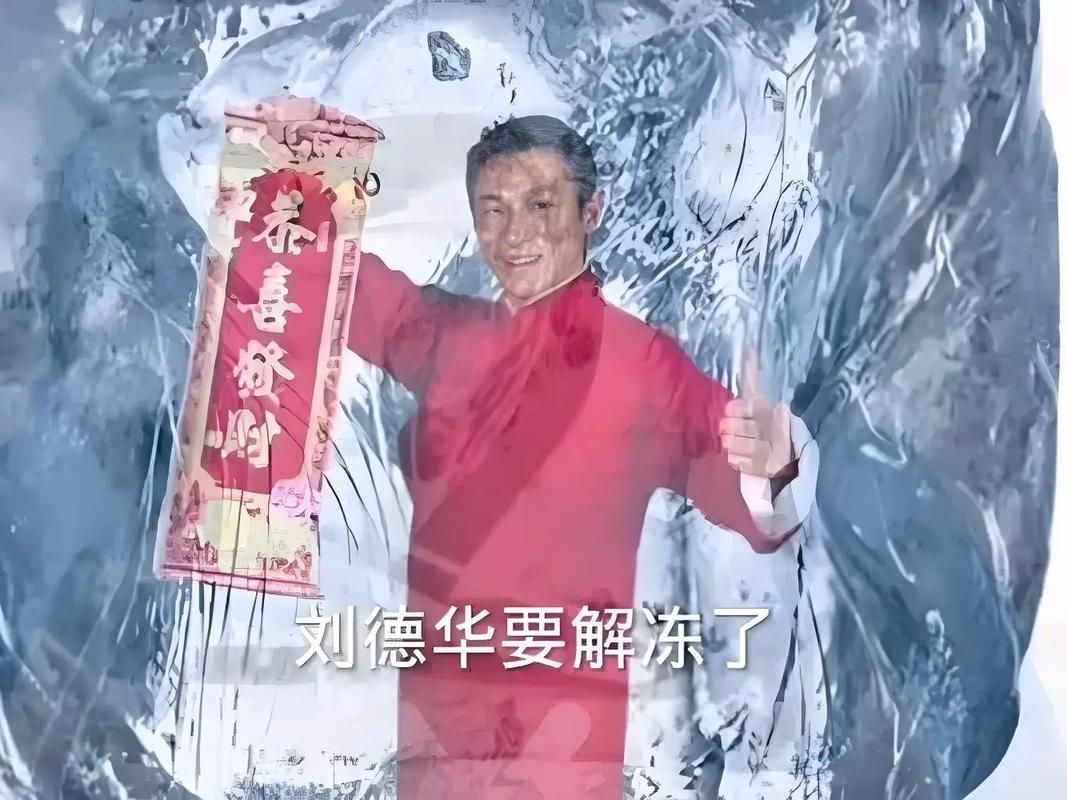 刘德华东北事件始末回顾 网友热议不断