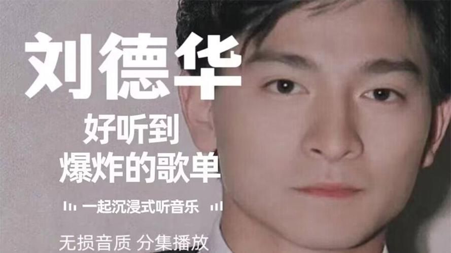 刘德华东北歌全收录一次听个够
