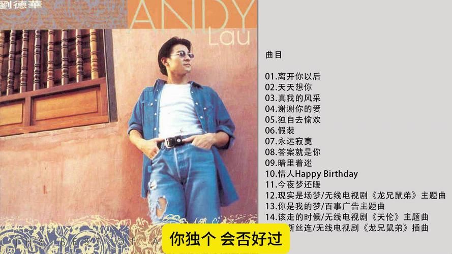 刘德华东北歌全收录一次听个够