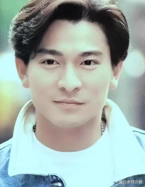 刘德华为什么这么红 揭秘他的成功秘诀