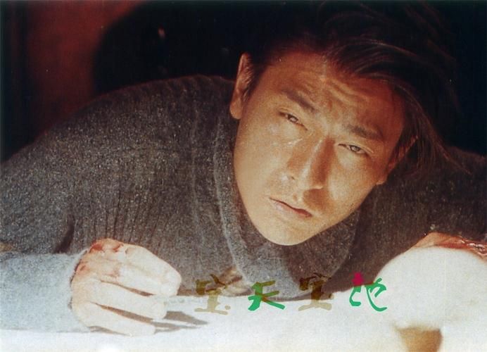 刘德华主演天与地：揭秘1994年的上海禁烟