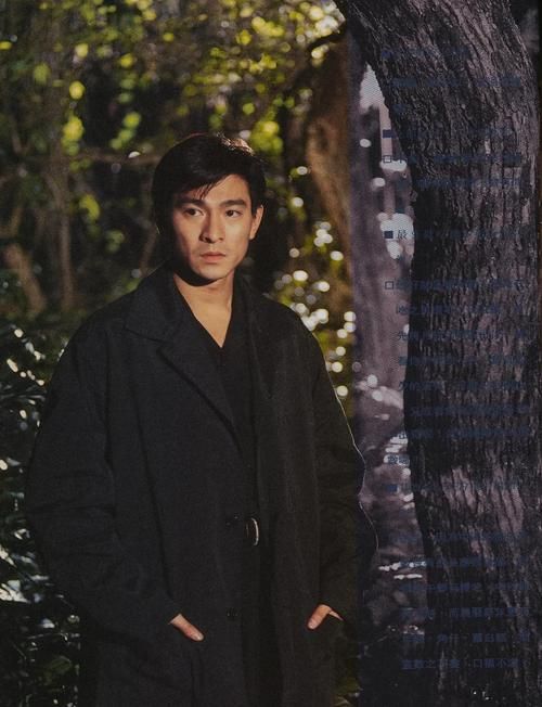 刘德华主演电影大全：经典作品回顾与推荐