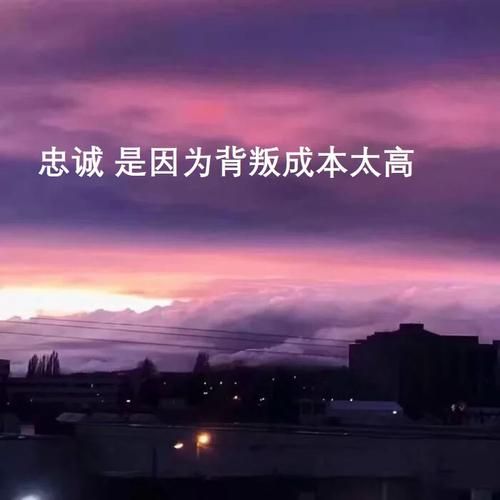 刘德华今生缘歌词完整版：带你细品经典