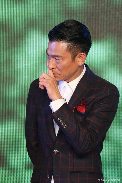 刘德华会弹吉他吗揭秘他的音乐才华与技能