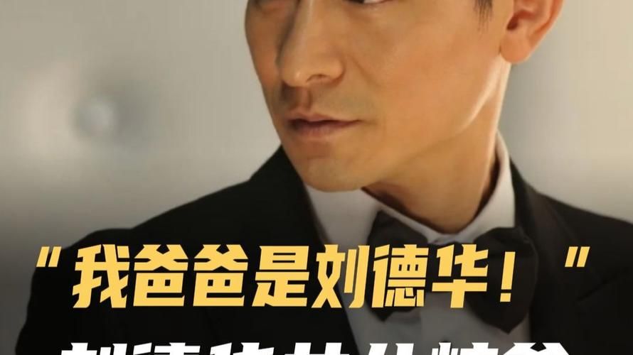 刘德华几个孩子啊 明星爸爸的育儿经分享